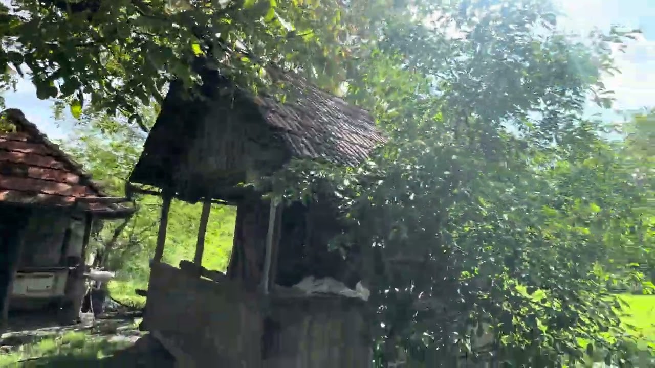 La țară în ziua votului