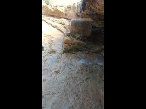 ترهونه الشرشاره تعود للحياه من جديد