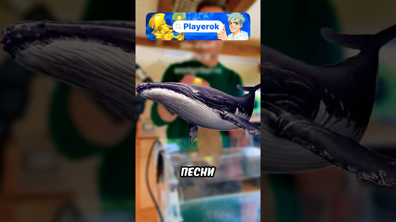 Секрет океана в одном эксперименте 🤯🐋