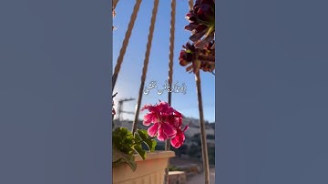 طه ما أنزلنا عليك القرآن لتشقى #القرآن الكريم #سورة طه#جوهرة القرآن