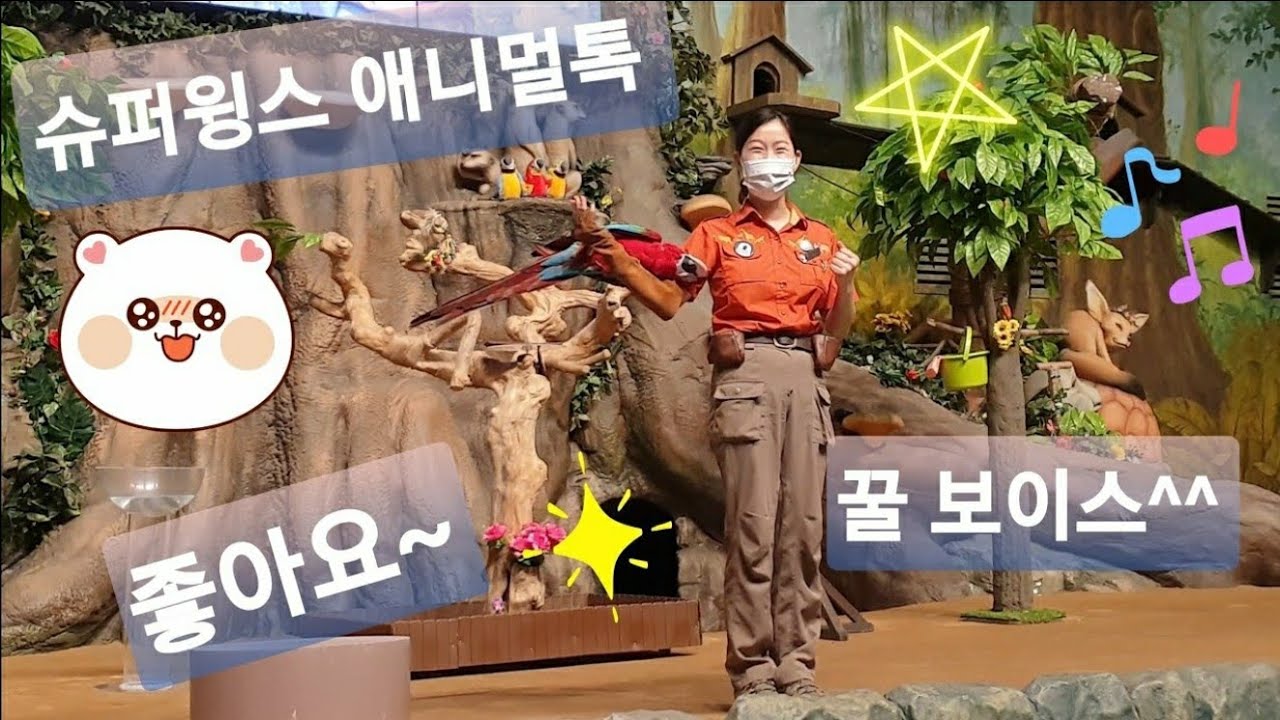 [4K 에버랜드] 슈퍼윙스 애니멀톡 2021-05-01