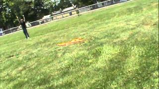 NCOE Physics Class Trebuchet Launch 7