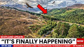 They Started 250 Year Protocol to Rebuild a Forest 35 Years In Even the Golden Eagles Came Back