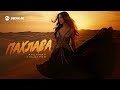 Айдамир Эльдаров - Пахлава | Премьера трека 2025