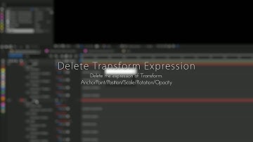 AE:Delete Transform Expression