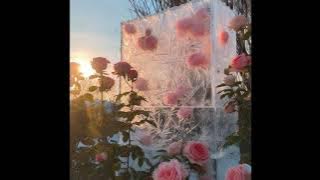 Paris Paloma- Labour [the cacophony] (slowed)