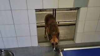 acs A660190
