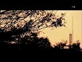 真善美部落 夜寒酒 カバ ~蔡淑芬 108.10.2