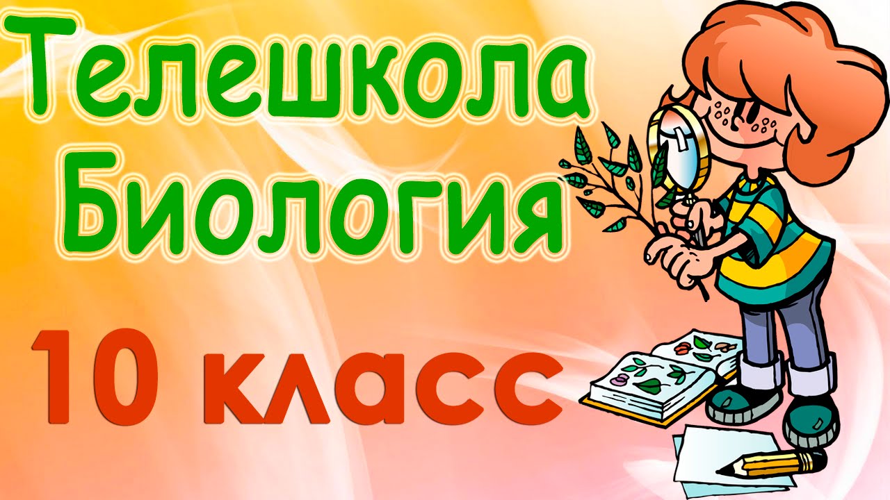 Наследственная изменчивость. Мутации, их виды и причины. Закон ...