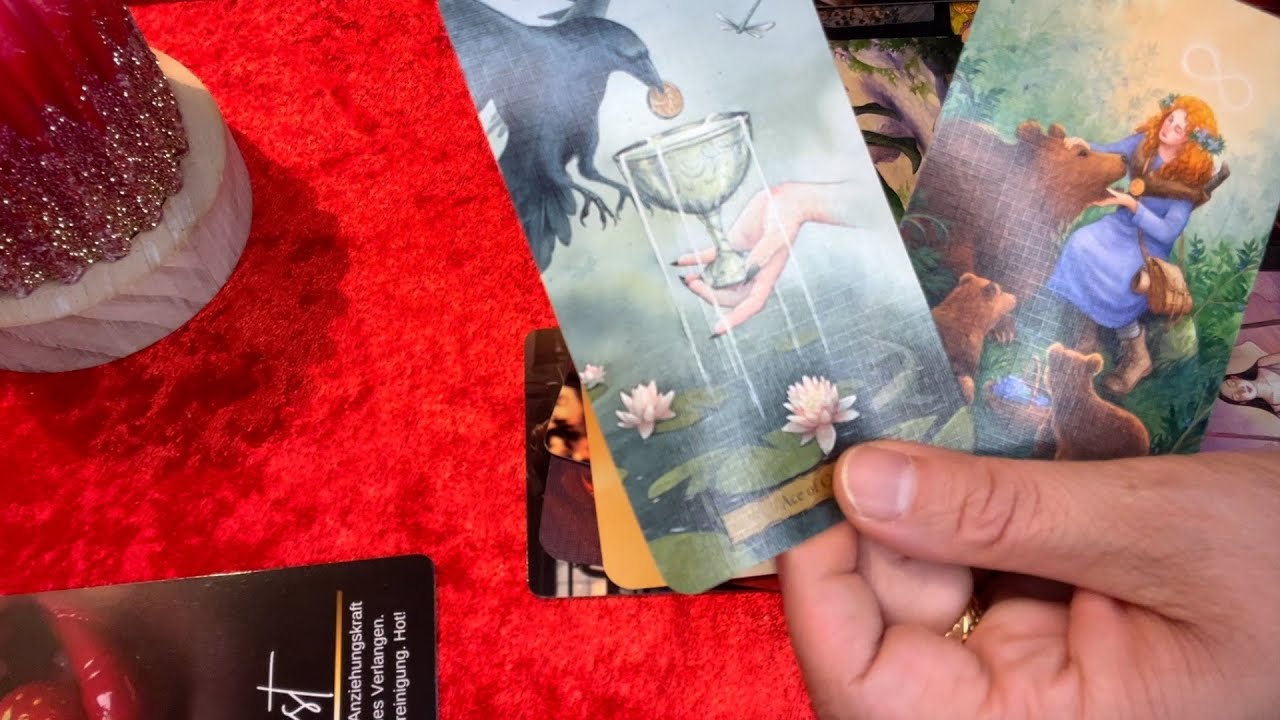 Seine Erinnerungen an Dich🥹😘😔🫣💕