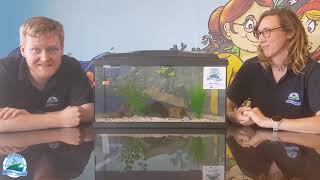 Explorers Education Programme - Back in action at Galway Atlantaquaria