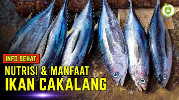 KHASIAT IKAN CAKALANG UNTUK KESEHATAN TUBUH - Kaya Nutrisi