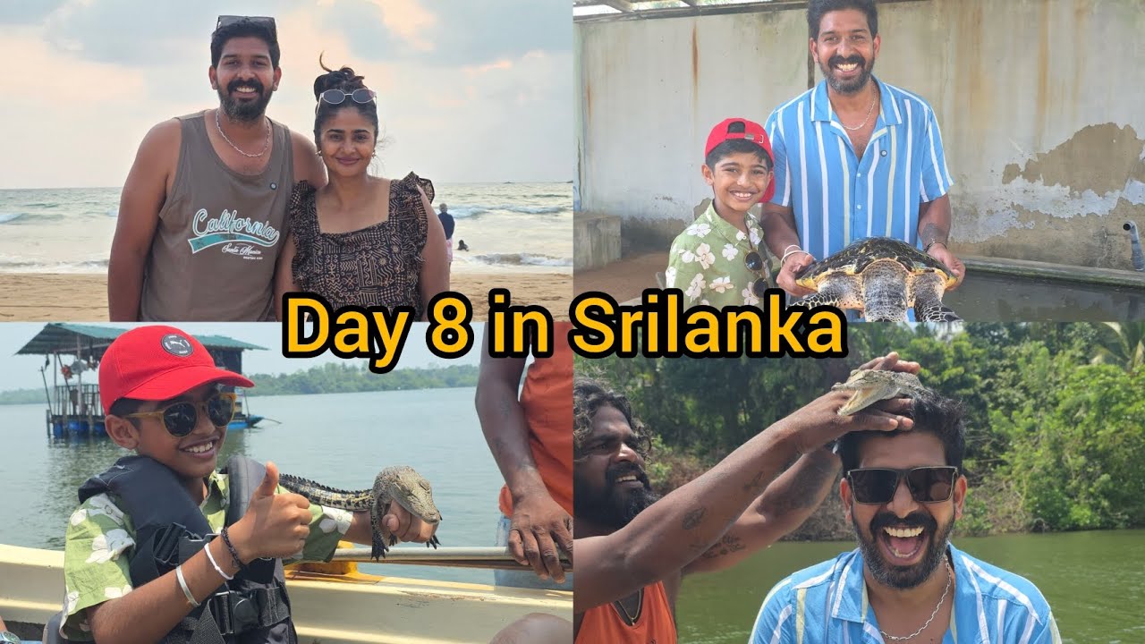 Дневник Шри-Ланки, день 8 ♥️ Сафари по реке Маду, Музей черепах и потрясающий чистый пляж ⛱️ #vlog