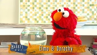 Harrys Practice - Elmo And Dorothy 2003