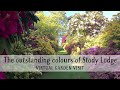 The outstanding colours of Stody Lodge, Norfolk