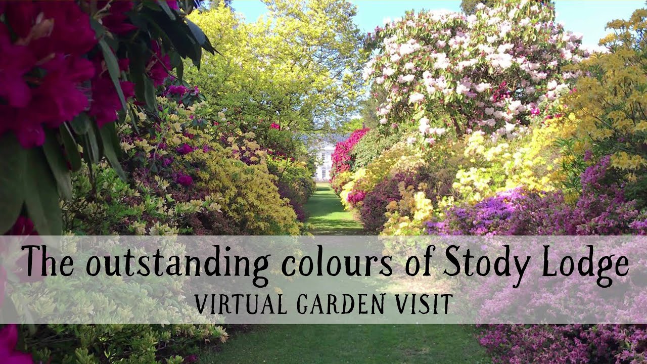 The outstanding colours of Stody Lodge, Norfolk