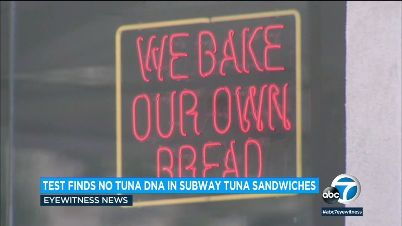 Subway's tuna sandwich has no tuna DNA, tests find