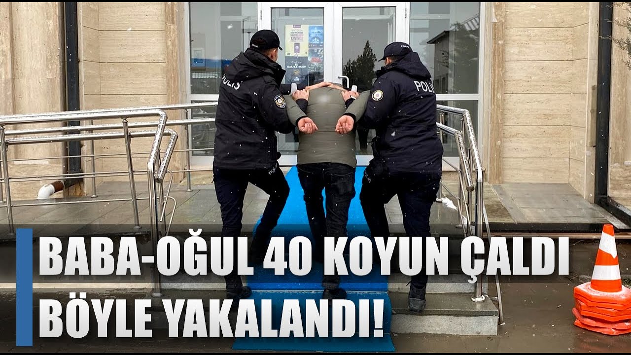 40 Koyun Çalan Baba ve Oğul Böyle Yakalandı! / AGRO TV HABER - YouTube