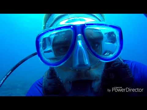 Dive Philippines  Thad's Place