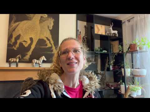 Member Update 2nd September 2026 - Interiors! The bane of my life!