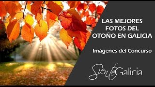 Las mejores fotos del otoño en Galicia