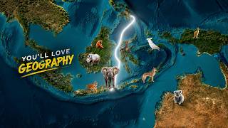 Geography Will Never Be Boring After Watching This Video