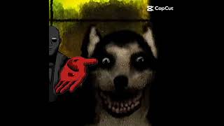 smile dog