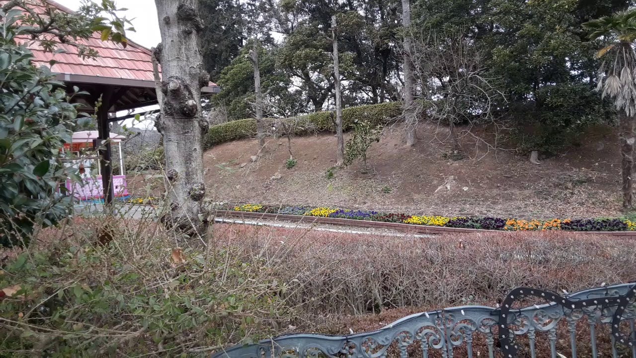 雨やんだ後のハーモニートレイン詰まる発車待ち