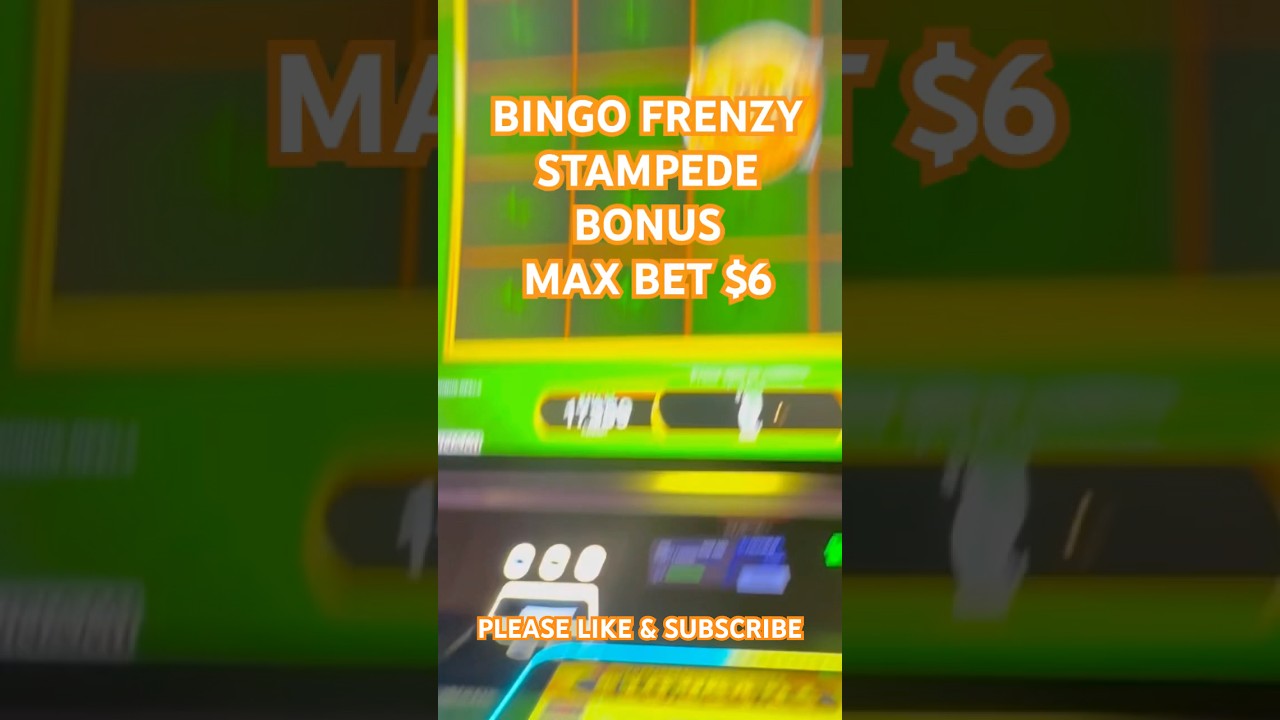 BINGO FRENZY STAMPEDE BONUS 