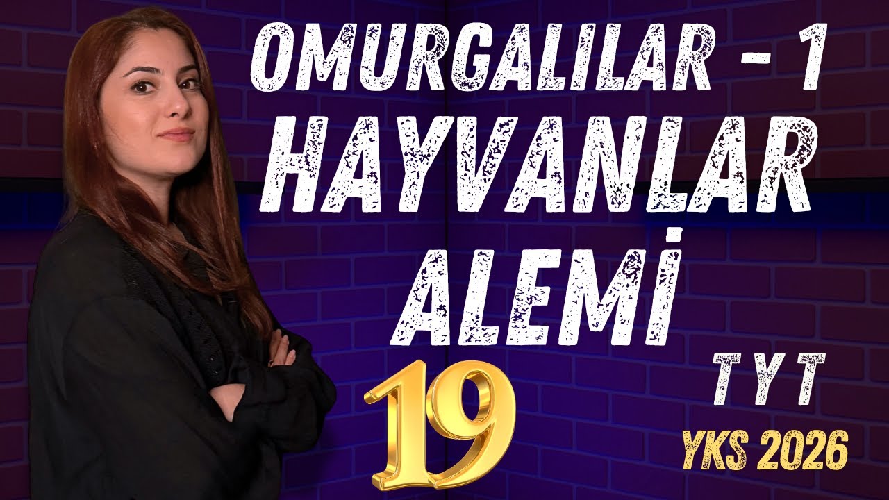 19) TYT 2026 BİYOLOJİ - OMURGALILAR 1 - HAYVANLAR ALEMİ - ADIM ADIM ZİRVEYE