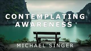 Michael Singer - Contemplating Awareness