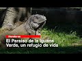 El Paraíso de la Iguana Verde, un refugio de vida