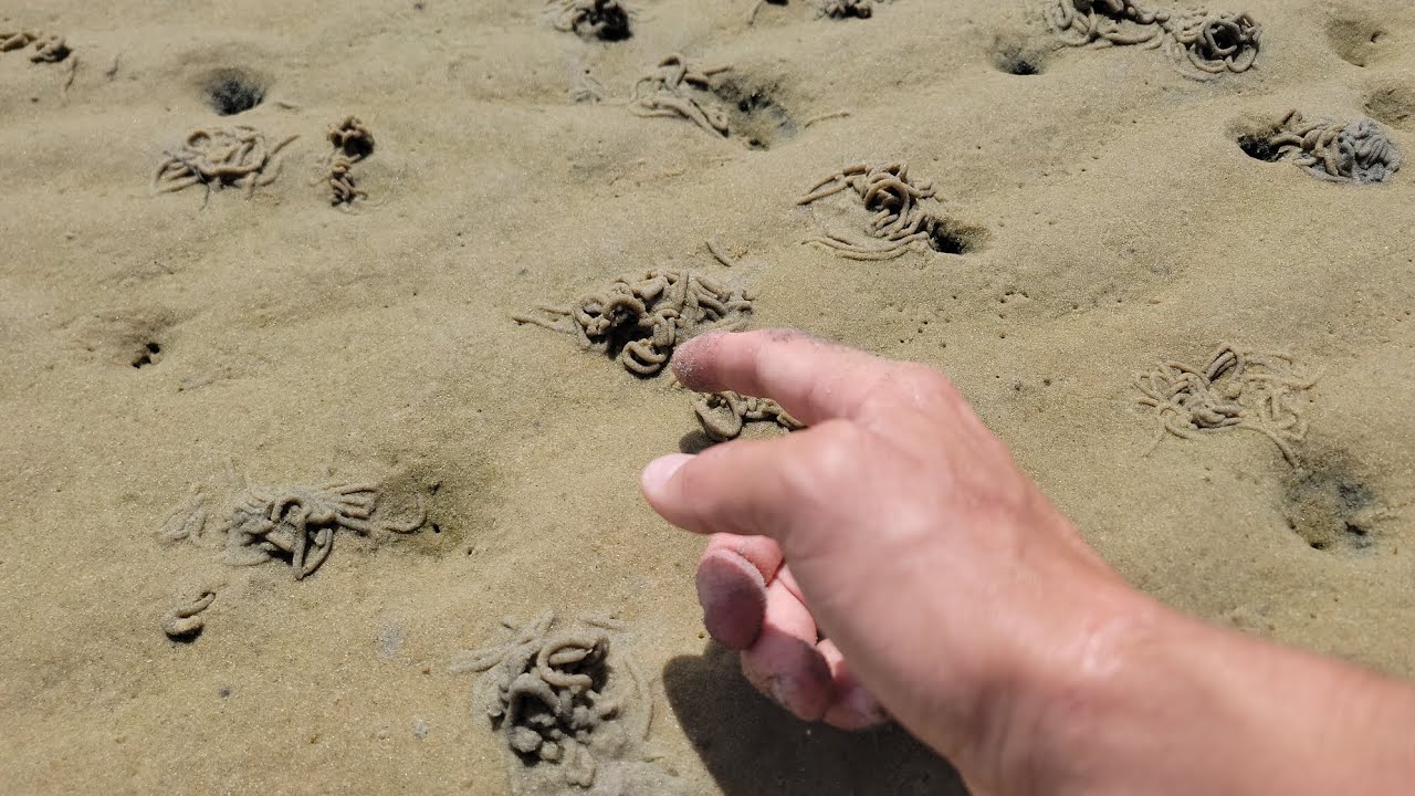 Comment pêcher des couteaux à main nue, sans sel