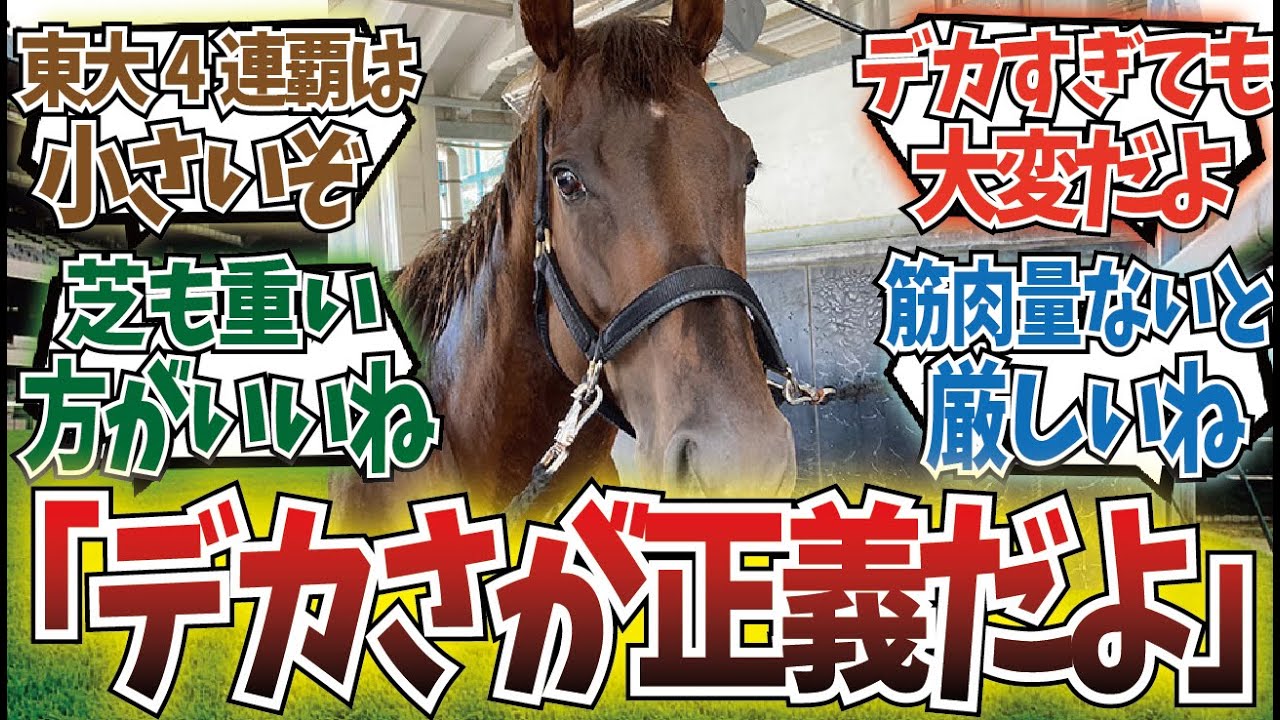 「ダート馬ってデカくないとやっぱりキツいの？」に対するみんなの反応集 YouTube
