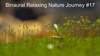 Binaural Relaxing Nature Journey #17 (No Speaking)