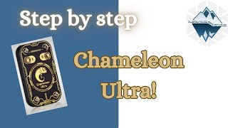 Chameleon Ultra: A Step-by-Step Guide to Downloading, Compiling, and Running the CLI screenshot 1