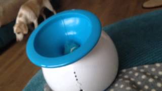 iFetch Automatic Ball Launcher