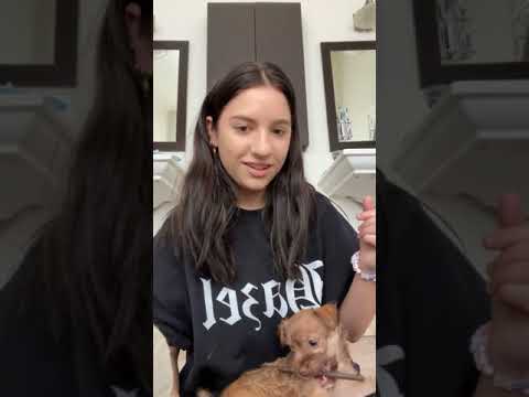 Kenzie Livestream Instagram 