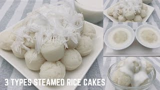 3 Types Steamed Rice Cakes