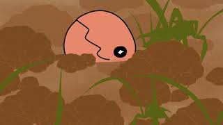 Trapinch
