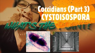 Download lagu COCCIDIANS (Part 3 of 4) - CYSTOISOPORA