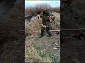 Тонны рыбы в болоте или рыбалка на паук  #рыбалка #щука #карп #carpfishing #fishing #carp #рыба