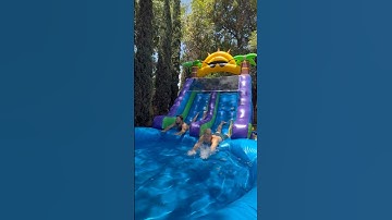 Testing TEMU Waterslides!