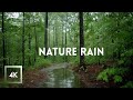 Relaxing Rainfall And Thunder Walking In The Rain ASMR Nature Sounds For Sleep And Study Relaxing Rainfall And Thunder Walking In The Rain ASMR Nature Sounds For Sleep And Study