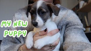 Meet Maggie - Day 9
