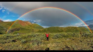 Video thumbnail of "VENTURES Somewhere over the rainbow"