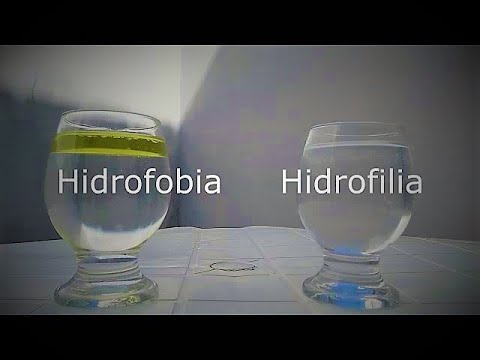 Vídeo: O que esses termos hidrofílico e hidrofóbico significam?