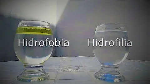 O que se entende por substâncias hidrofílicas e substâncias hidrofóbicas?