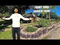My entire front yard garden tour 3 year old food forest  native plants  zone 9 houston texas