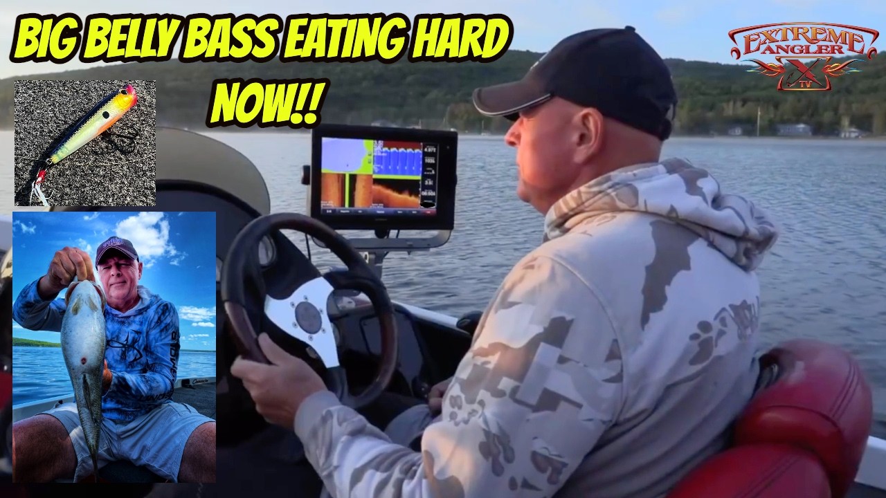 BIG BELLY BASS EATING HARD NOW! – Topwater in the shallows